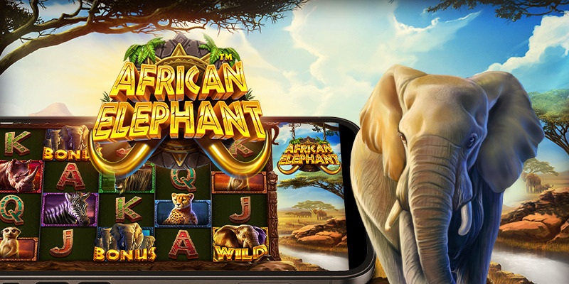 African Elephant เกมสล็อตสุดฮิตได้เงินไม่อั้น